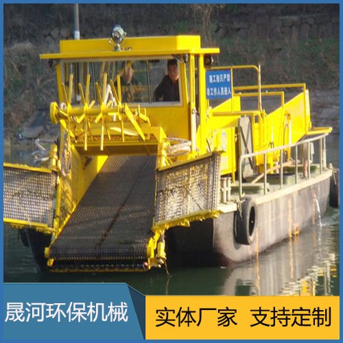 Water hyacinth fishing boat