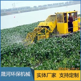 Water hyacinth fishing boat