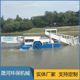 Water hyacinth fishing boat