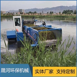 Water hyacinth fishing boat